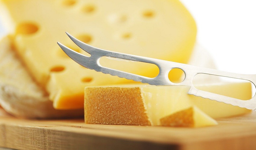 Best Knife to Cut Cheese